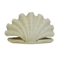 مضيفة حلويات بتصميم "صدفة" بحرية